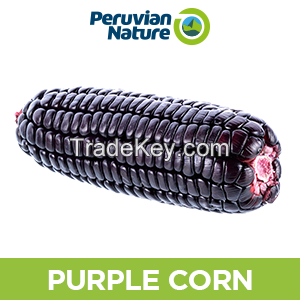 Purple Corn