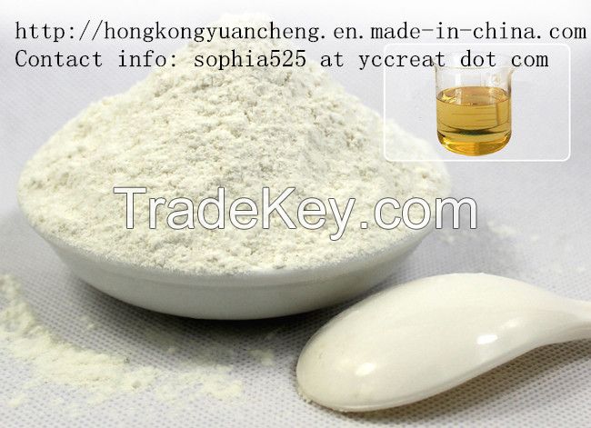 Pharmaceutical Raw Material Methylamine Hydrochloride / Methylamine HC