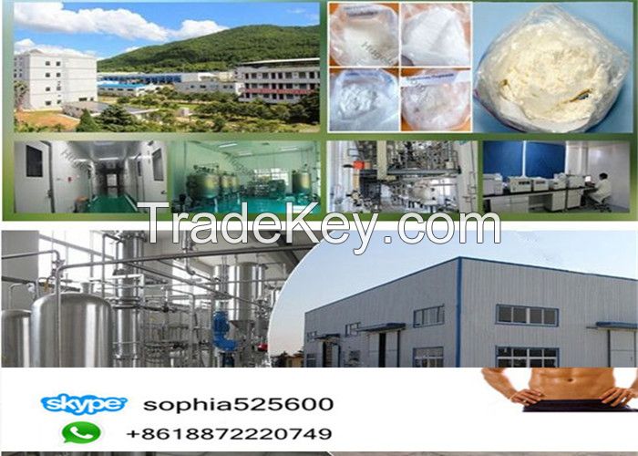 Top Quality Powder Malt Extract 8002-48-0 for Food Additives