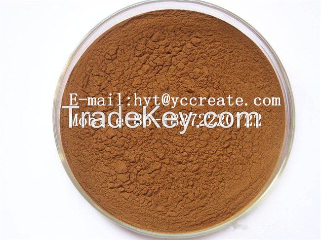 Artichoke Extract Powder (Cynara scolymus)