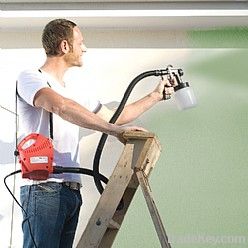 Paint sprayer