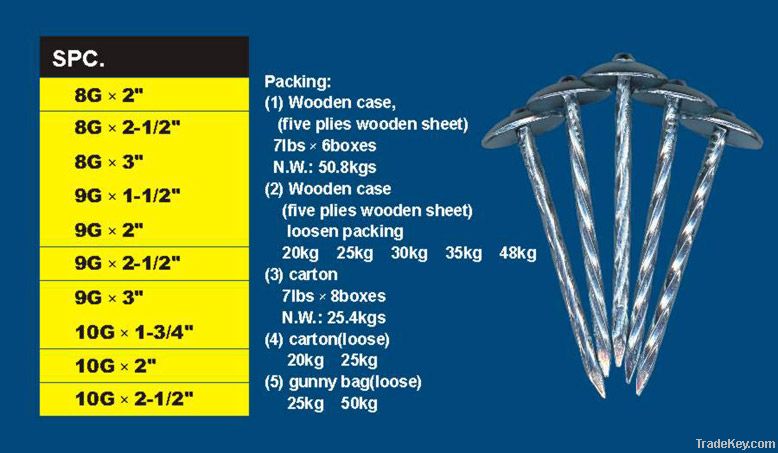 Galvanized Roofing Nail