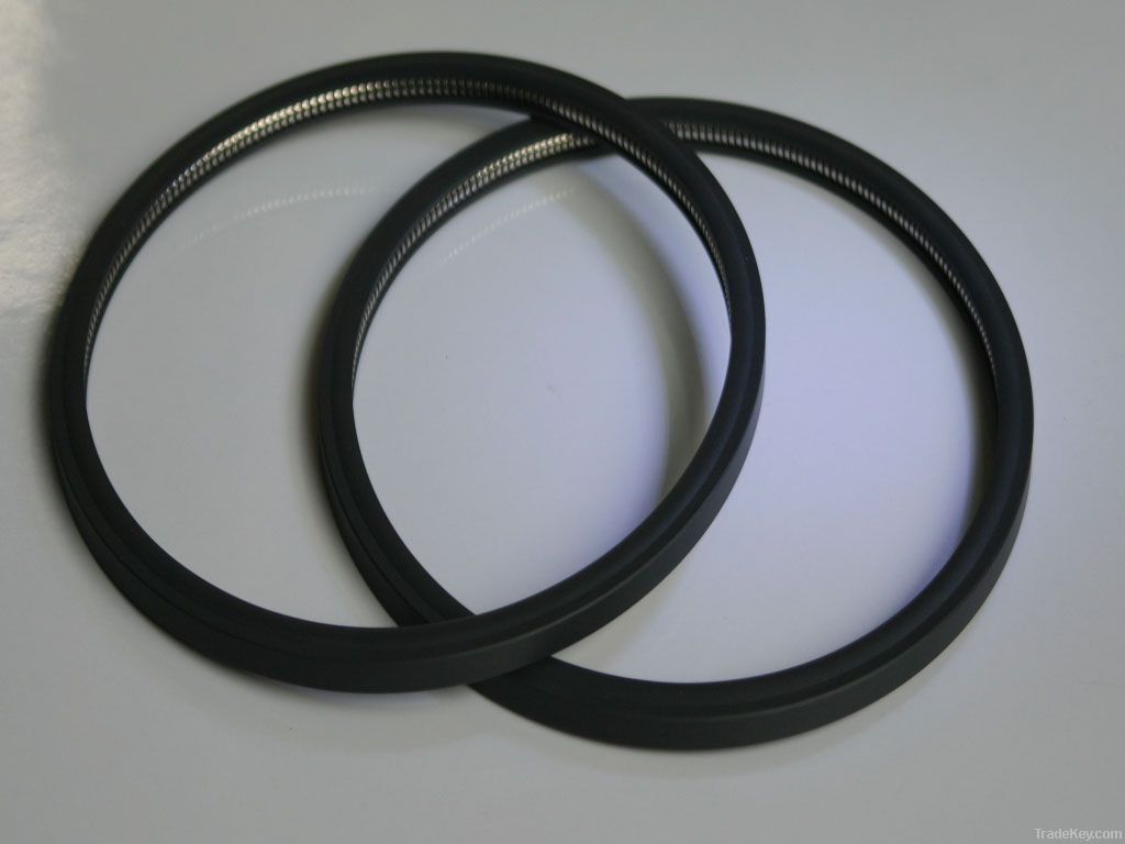 PTFE variseal