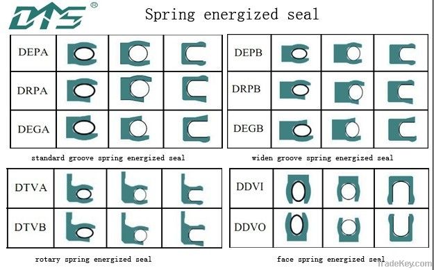 spring energized seal