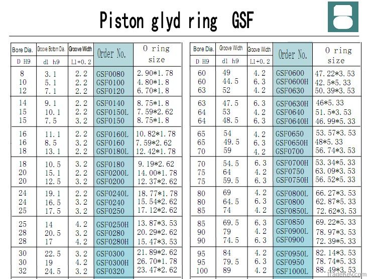 piston seal glyd ring