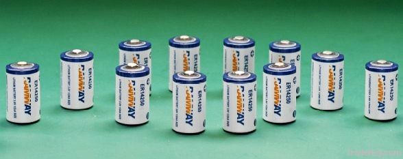 3.6V lithium battery ER14250/ER14250H 1/2AA