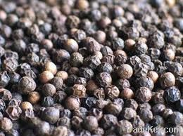 Black pepper