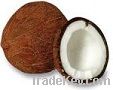 vietnam desiccated coconuts for sell