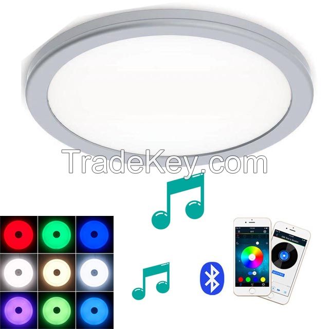 24W Bluetooth Music Speaker Led Ceiling Light