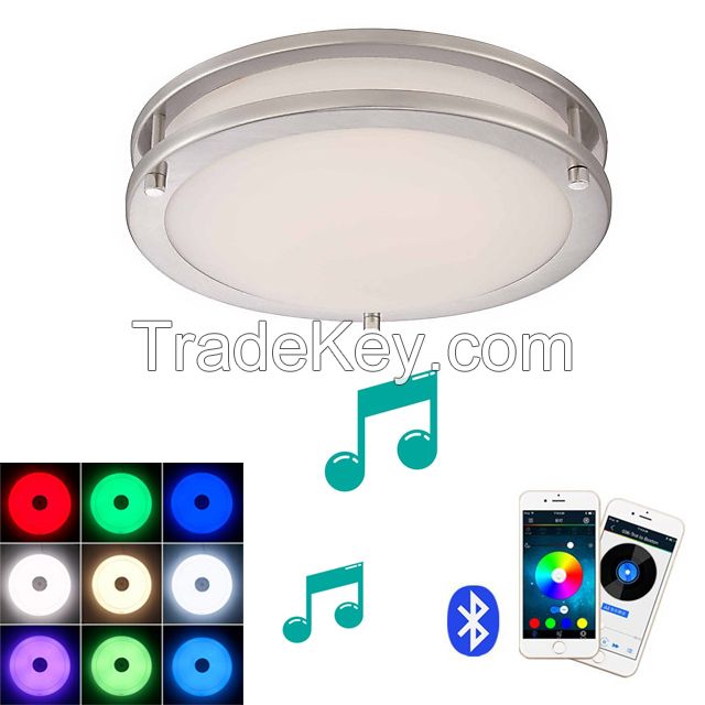 3D Led Ceiling Lights Speaker With Smart Bulb Speaker