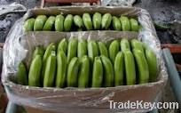 Green Bananas box  $6 -$7.50