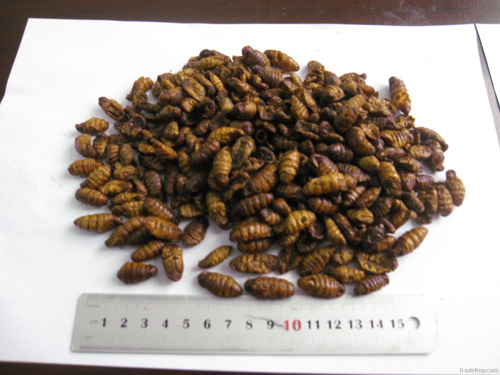 Dried Silkworm pupae