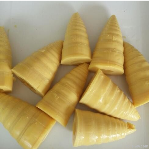 canned bamboo shoots(tips, strips, sliced, diced)