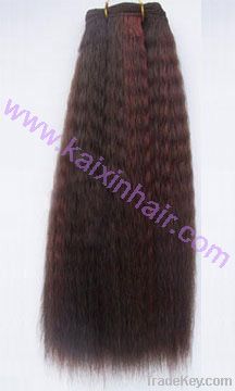 Remy Hair Extension