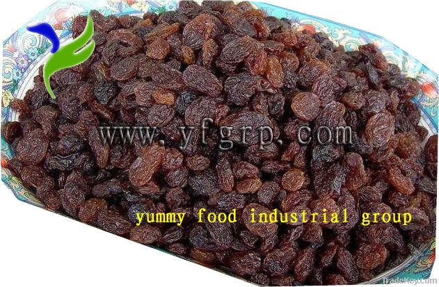 Sultana Raisins