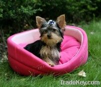 Polar fleece pet bed for dogs&cats