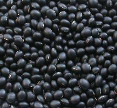 black lentil