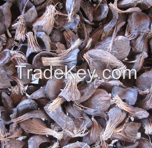 PKS PALM KERNEL SHELL