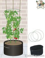 Tomato Planter(31091)
