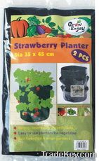 Strawberry Planter(30916)