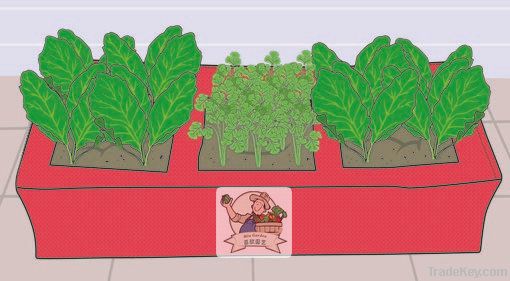 Vegetable Planter(31199)