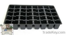 Seed Tray-40 Pots(30409)