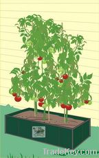 tomato planter kit(30928)