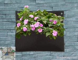 Wall Planter(31134)