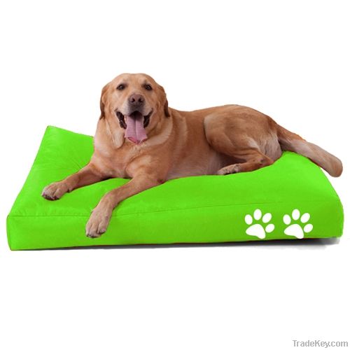 Dog  Beanbag