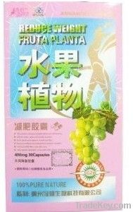 Pink Fruta Planta Reduce Weight