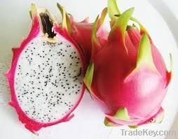 Dragon fruit