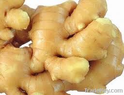 Fresh ginger