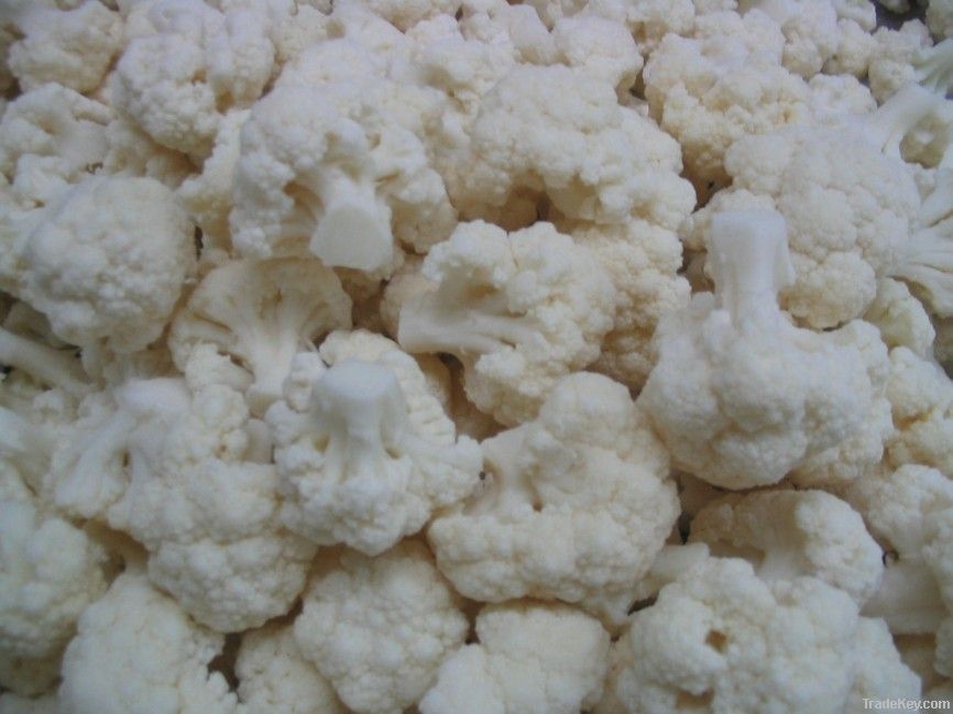supply iqf cauliflower
