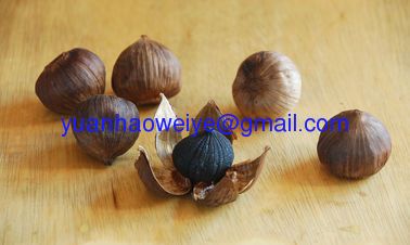 Black garlic & fermented garlic 