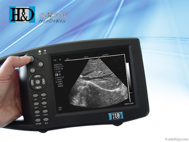 Portable Digital B-mode Ultrasonic Diagnostic Apparatus
