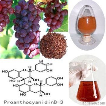 Grape Seed Extract