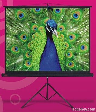 60"/120"Manual tripod projector screen