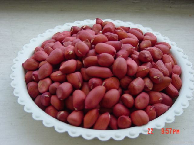 Red skin Peanut Kernels