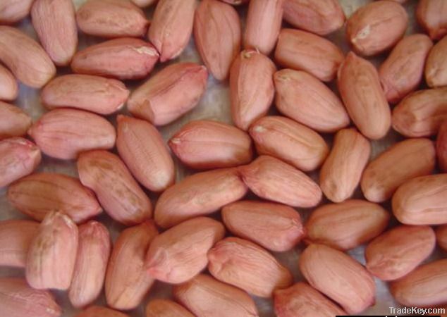 Chinese raw peanuts