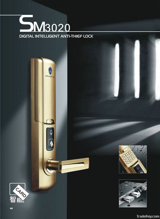 RFID door lock with keypad and password