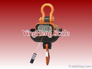 export Direct-view electronic crane scale