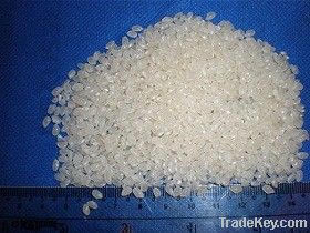 Vietnamese round grain white rice