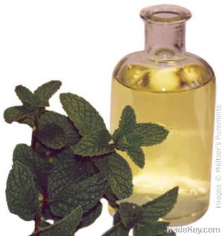 Pure Natural Peppemint Oil