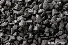 Steam Coal