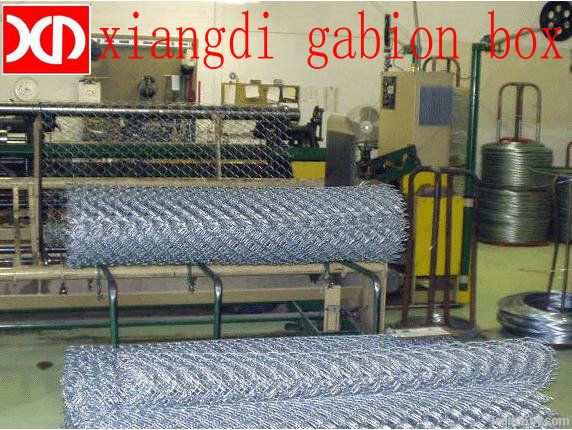 Hexagonal  Wire Mesh