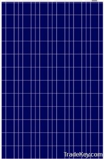 Poly-Crystalline PV Panels from 250Wp to 280Wp