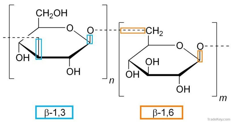 Beta 1, 3-D Glucan Powder