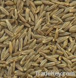 CUMIN seeds