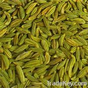 FENNEL seeds