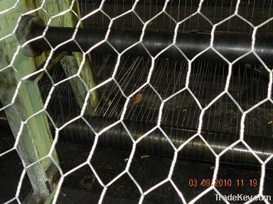 Hexagonal Wire Mesh